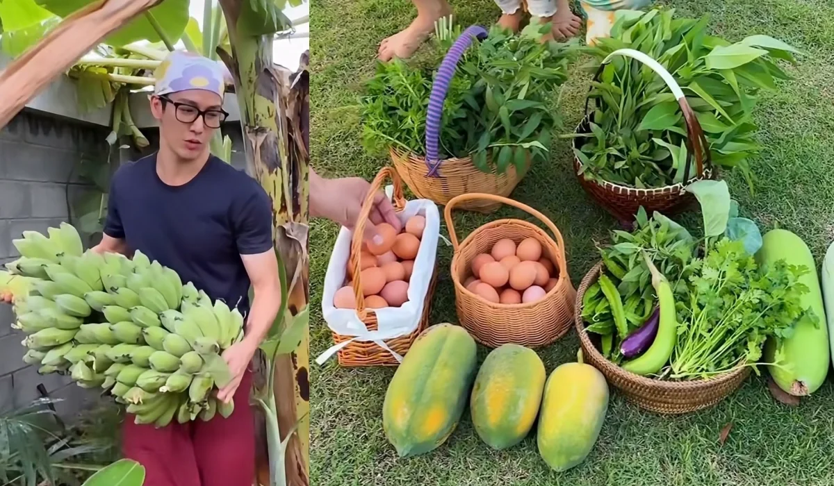 "Hoàng tử trong mơ" hái rau, nhặt trứng gà tại nhà vườn