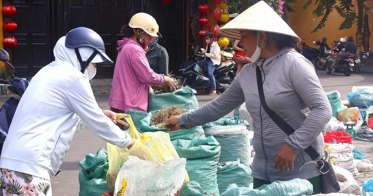Lạ mắt phiên chợ chuyên bán lá, mỗi năm chỉ mở một lần