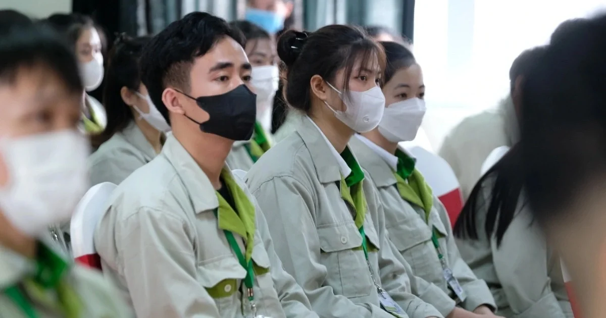 Cơ hội xuất khẩu lao động miễn phí, được hỗ trợ hàng trăm triệu khi hồi hương