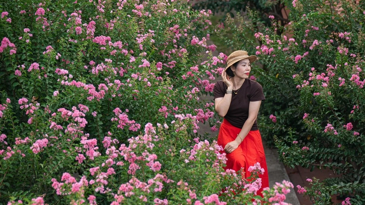 Lối đi ngập tràn sắc tím hoa tường vi giữa lòng công viên Hà Nội